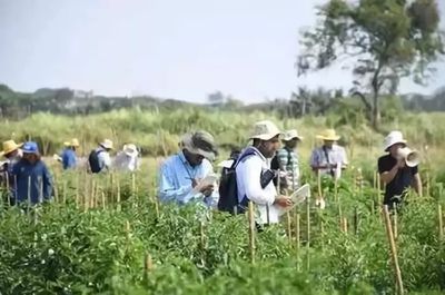 國(guó)外鄉(xiāng)村旅游開(kāi)發(fā)模式及案例解析 種植技術(shù)開(kāi)發(fā)的創(chuàng)新路徑