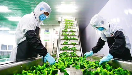 張掖市科學(xué)技術(shù)局推動(dòng)種植技術(shù)開(kāi)發(fā)，助力農(nóng)業(yè)現(xiàn)代化轉(zhuǎn)型