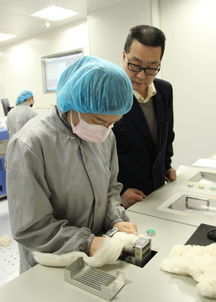 聯盟快訊 | 邯鄲纖檢所服務地方產業發展，助力企業質量提升